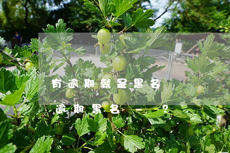 有逾期就是黑名單嗎？如何解除逾期黑名單？
